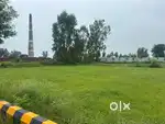 Plot for sale in lucknow connected  Ayodhya faizabad  Satrikh highway