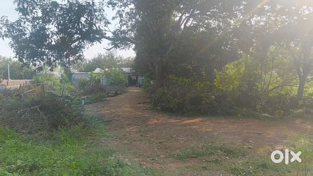 Open space plot for Rent Just Beside Patia High School