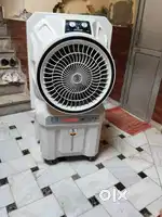 New three months old Thar cooler