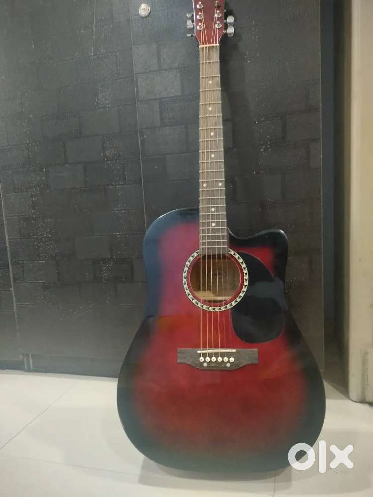 Dolphin Acoustic Guitar
