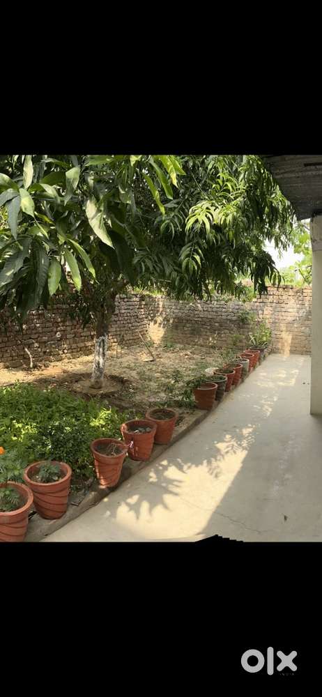 8 Marla corner old house