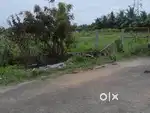 Land & site