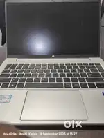 Collection Executive