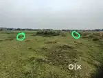 5 kata plot