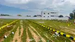 852 Sqft DTCP App Plot at United Saba Garden near Gokulapuram MM Ngr