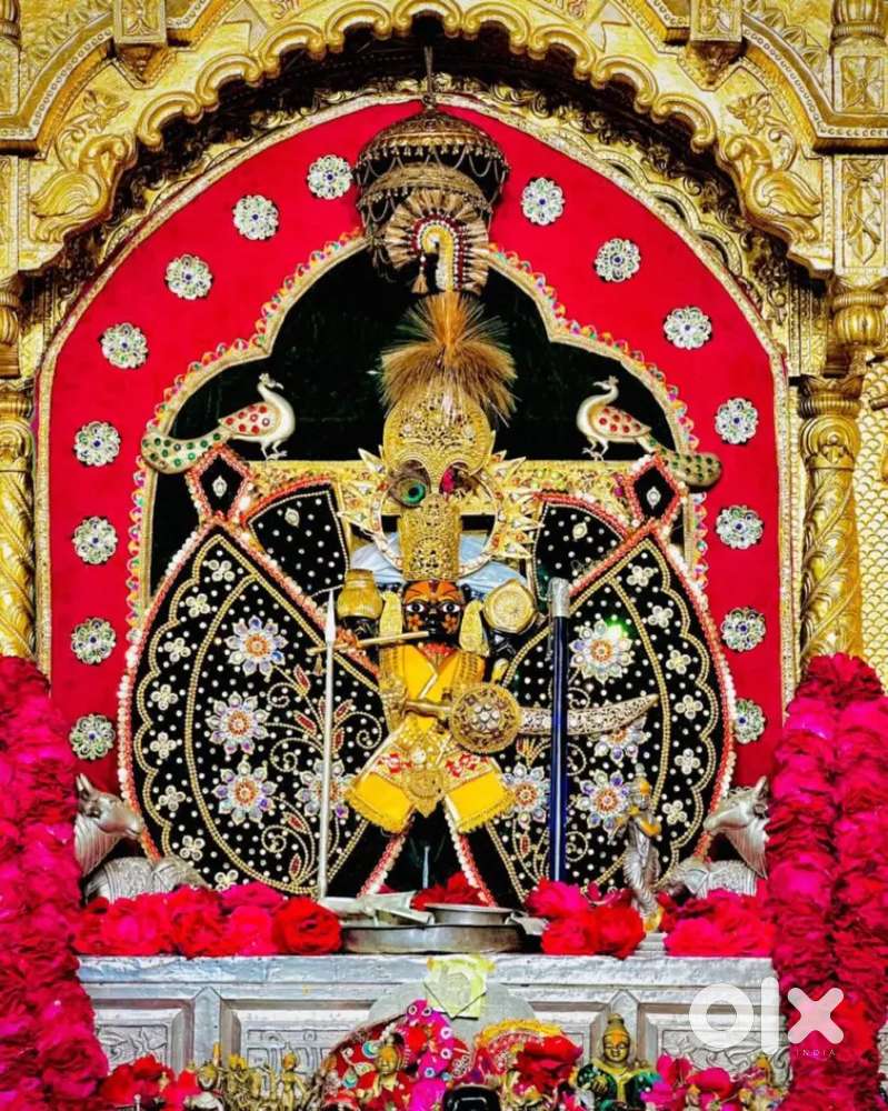 Road side commercial plot in Khalari