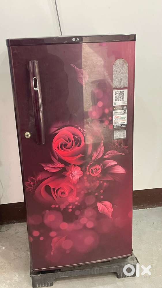 LG fridge mahroom colour