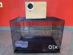2 feet cage with breeding box