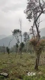 25 Cent farm plot for sale near kodaikanal ghat road