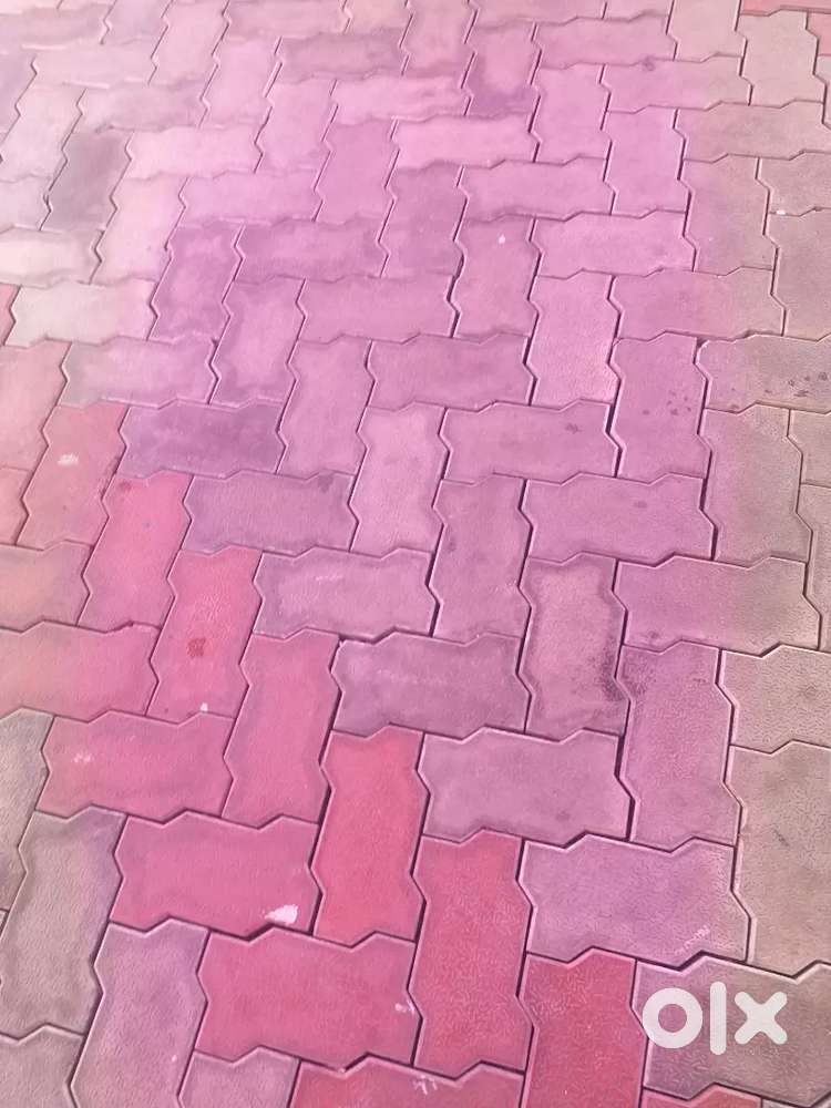 Sharing accommodation for bachelor near Kannur