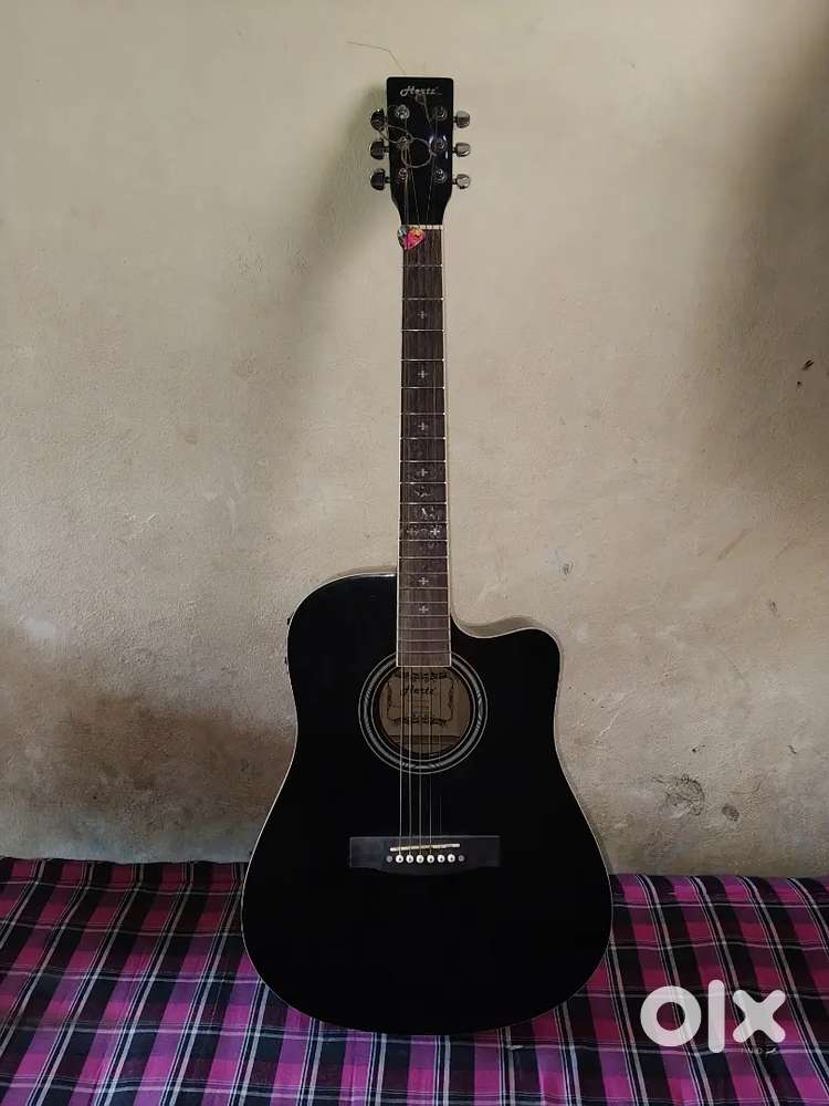 Hertz acoustic guitar