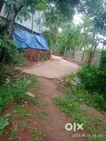 Mony problem