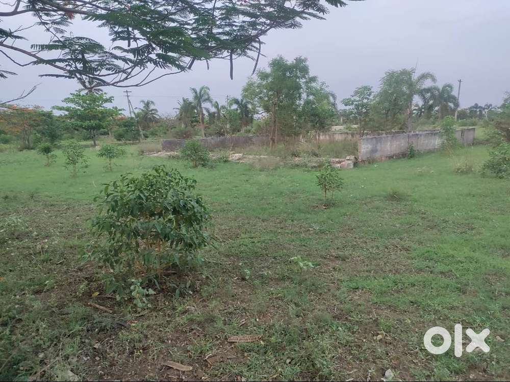 Site for sale @bhogapuram beside Highway