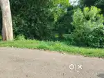Road side Gharabari land for sale with road side agriculture land