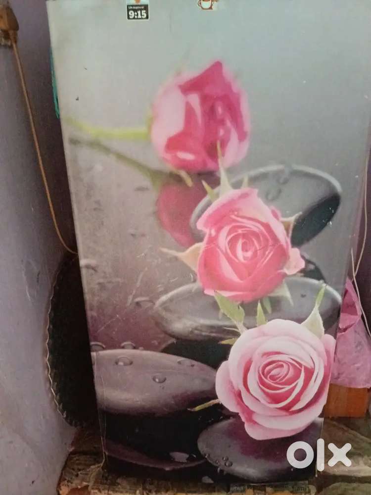 I am selling my lg fridge