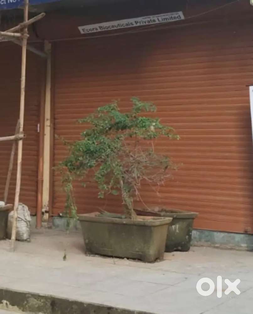 Prime Location Shop Near Bhwani Medical on Ramdev Park Road
