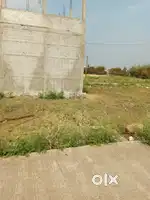 Arjent seel plot 275no