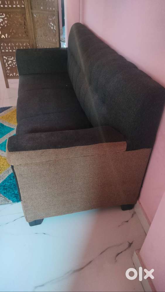 Sofa, 2 years old