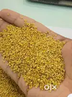 हिम पुष्पा अश्वगंधा बीज