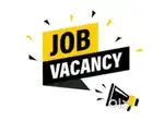 Fresher and experience
