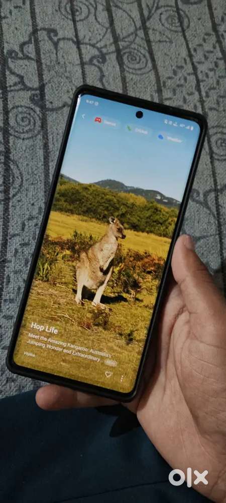 Vivo V40 8/256