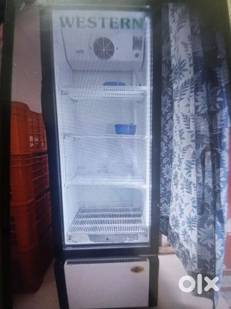Glass Door Fridge