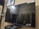 One Plus Y series