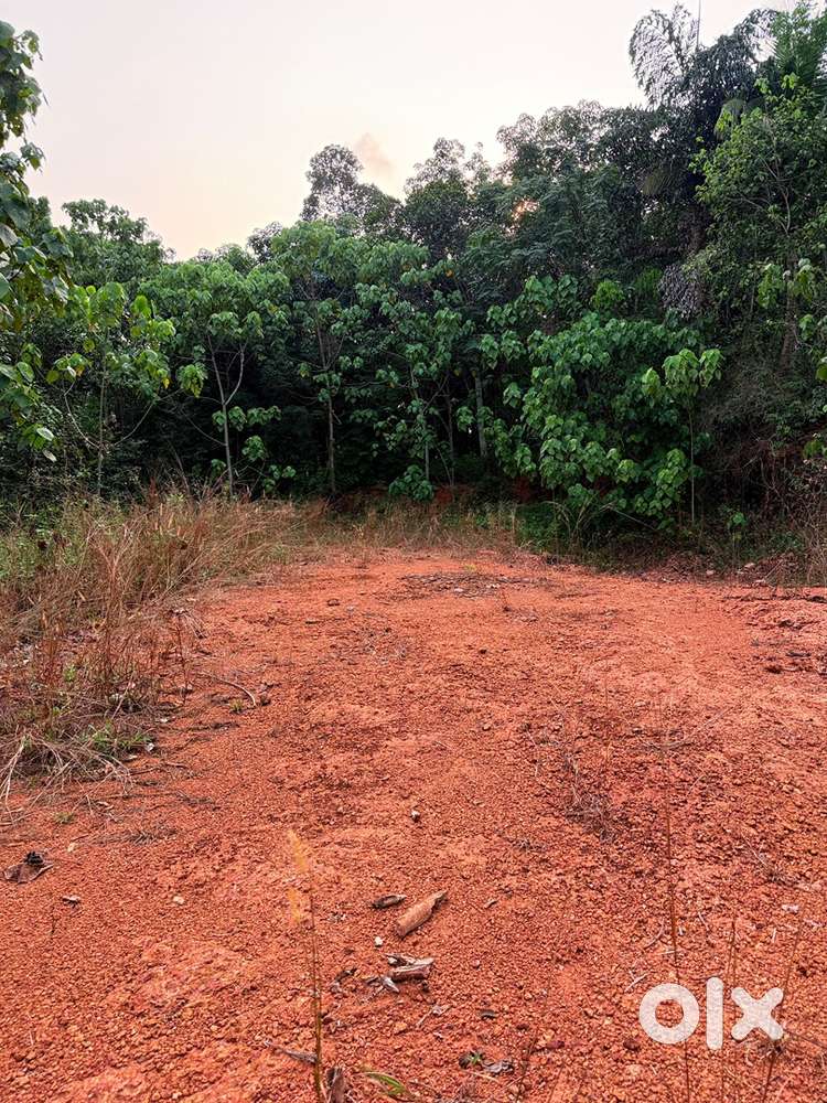 16 cent plot for sale