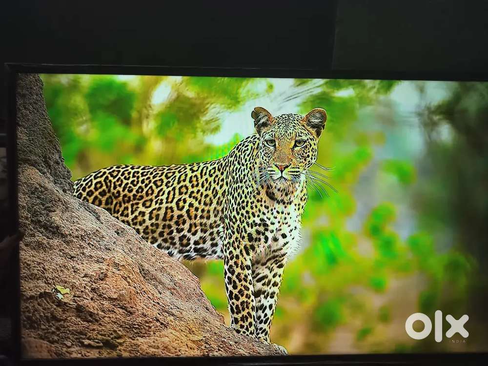 Sumsang orginal tv 43 inches best quality