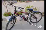 Actino Cycle