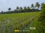 Land for sale, Lakkavaram(Razole)