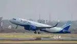 Cabin Crew/ Airport Ground Staff Jobs in Indigo Airport