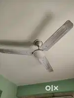 Ceiling fan