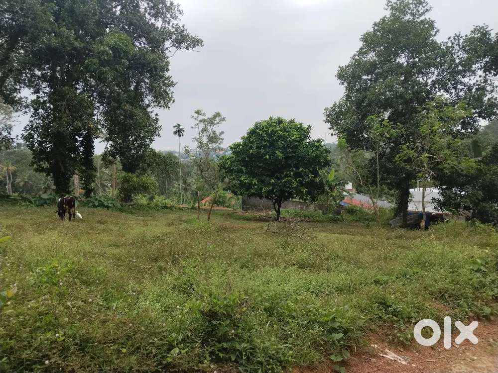 10 cent square plot for sale in Manchadi, Malayinkeezh