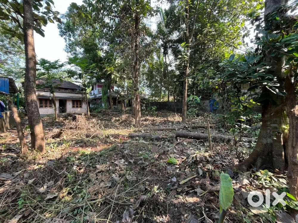 6 cent square plot for sale