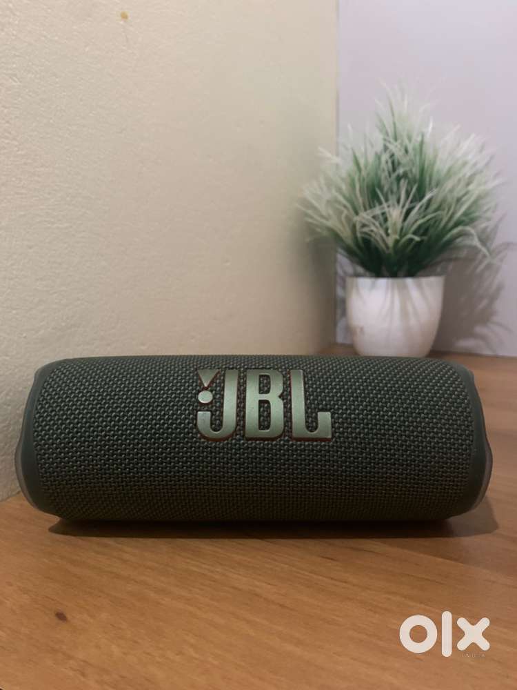 JBL Flip 6