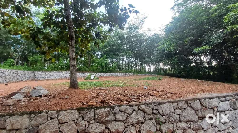 10 cent pothencode vavaraambalam TECHNOCITY