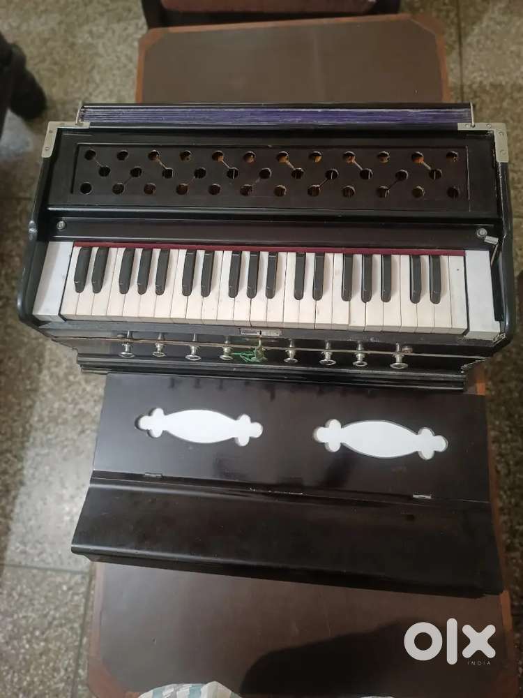 Harmonium Instrument
