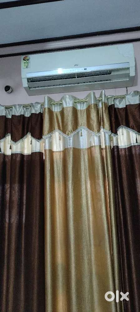 Gojrej ac. 10 year old h