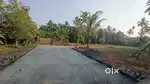 Angamaly near appollo hospital 3 km 5, 6,8 , 10 cent plots available