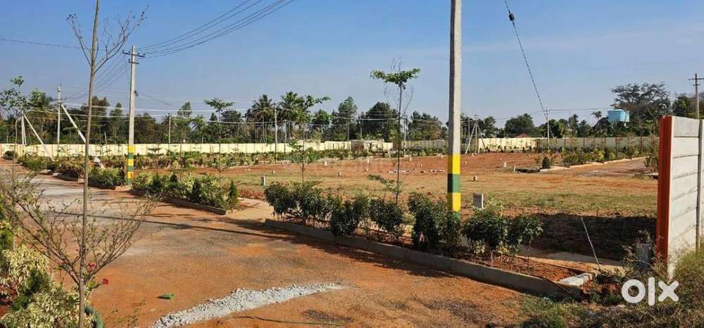 Residential Plots from ₹8 Lakhs Onwards