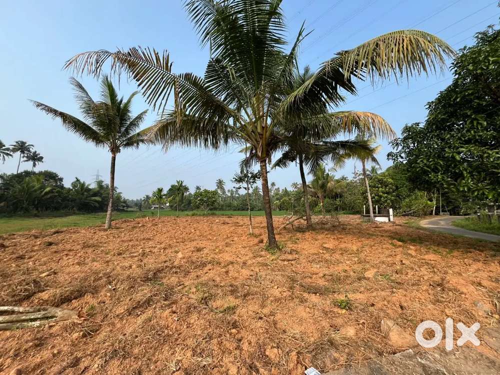 40 cent of land for sale ( Irinjalkuda, Aikkarakunnu)