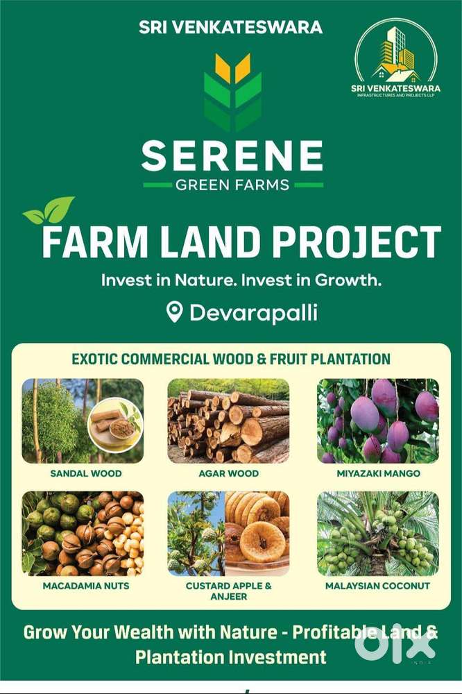 Invest Small, Earn Big! Sustainable Farm Income Model