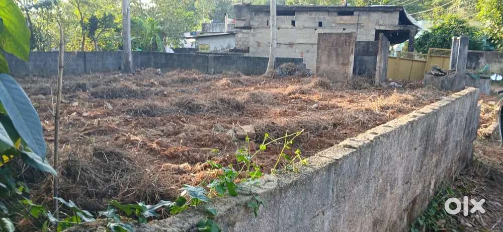 5 cent Plot for House