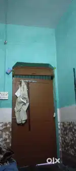 Need a girl room partner