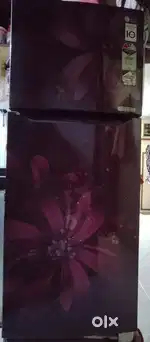 LG 260 L Frost Free Double Door 3 Star Refrigerator