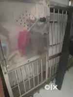 Stand still