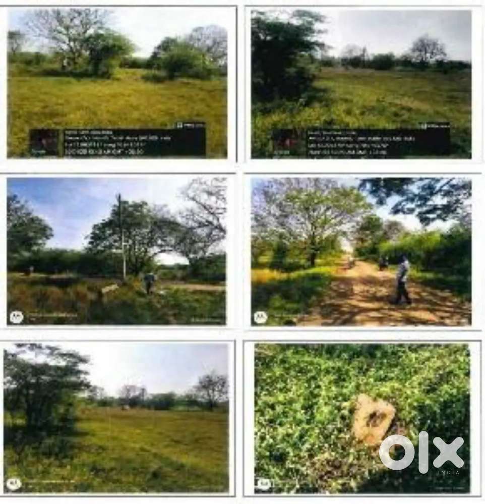 PADI LAND FOR SALE
