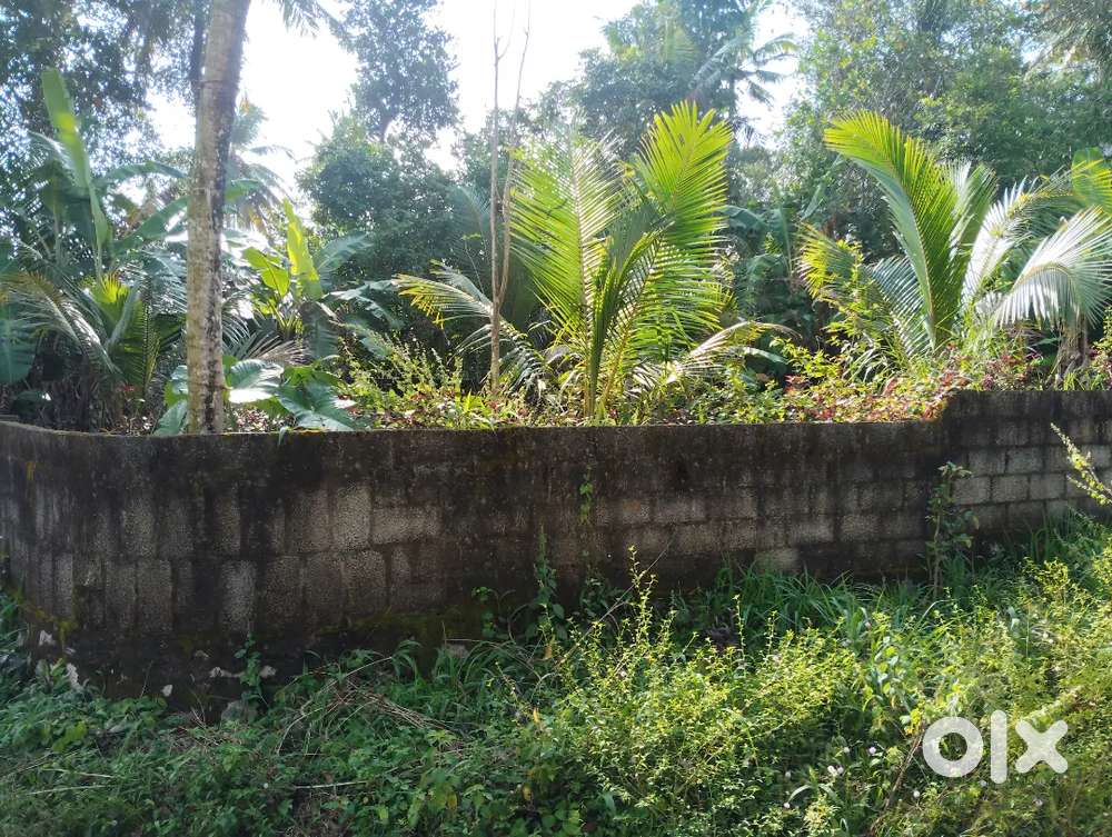 7 cents Rectagle shape land  with two side 7 meter  wide road frontage