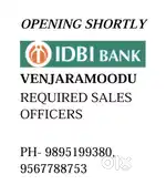 Sales Executive
